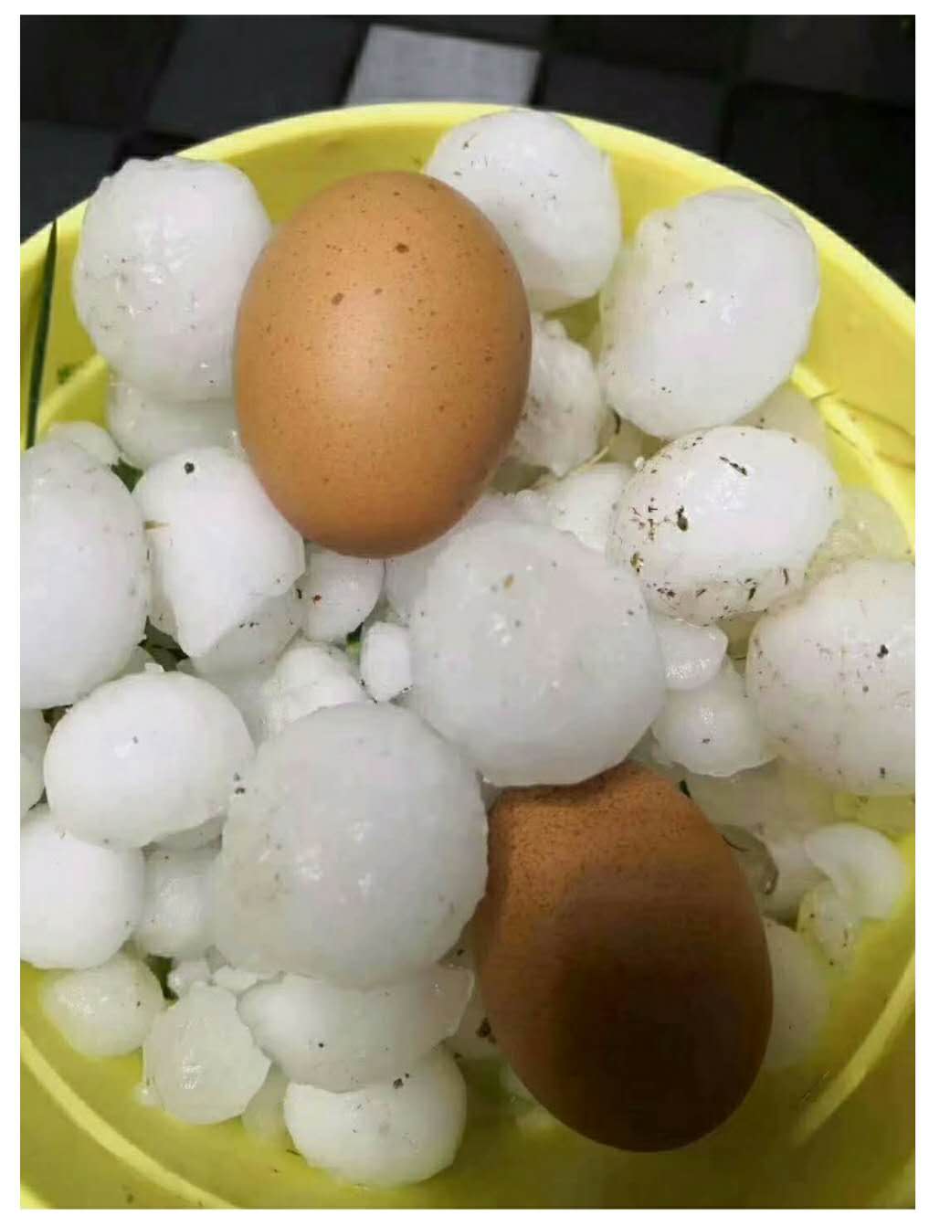 甘肅(su)發生冰雹(báo)災害 甘肅(su)發生冰雹(bao)災害