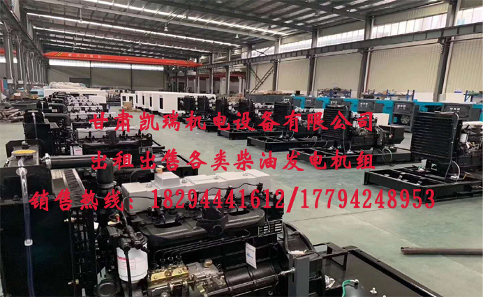 甘肅玉(yu)柴柴油發(fā)電機組廠(chǎng)家 甘肅玉(yù)柴柴油發(fā)電機組廠(chǎng)家