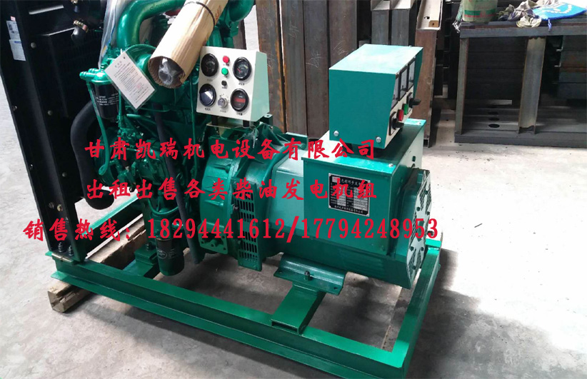 甘肅玉(yu)柴柴油發(fā)電機組廠(chǎng)家 甘肅玉(yù)柴柴油發(fā)電機組廠(chǎng)家