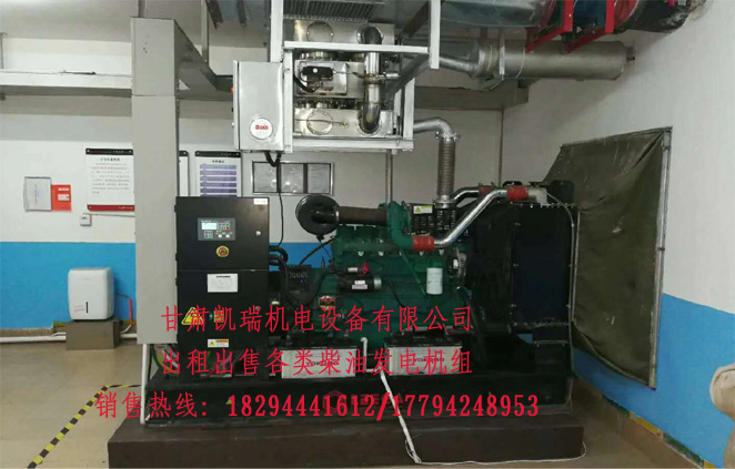 蘭州柴油(yóu)發電機組(zǔ)廠家