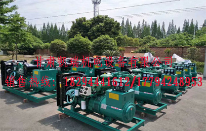 蘭州(zhou)柴油發電機(ji)組價格 蘭州(zhou)柴油發電機(jī)組價格